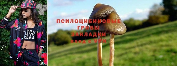 меф Новодвинск