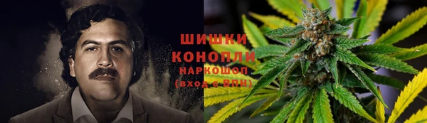 spice Семёнов