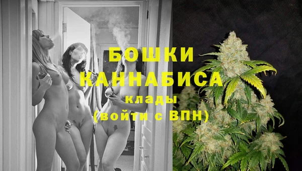 мет Новозыбков
