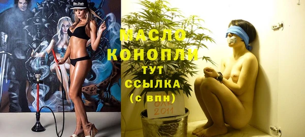 мет Новозыбков