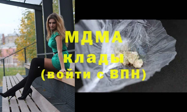 гашик Гусь-Хрустальный