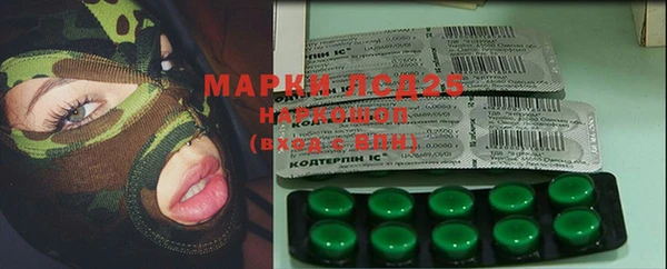 мет Новозыбков