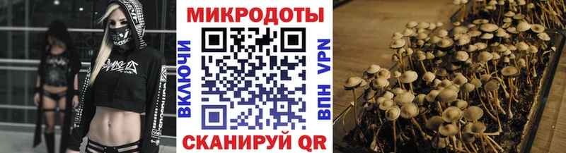 Псилоцибиновые грибы мухоморы  МЕГА ONION  Сертолово  где найти наркотики 