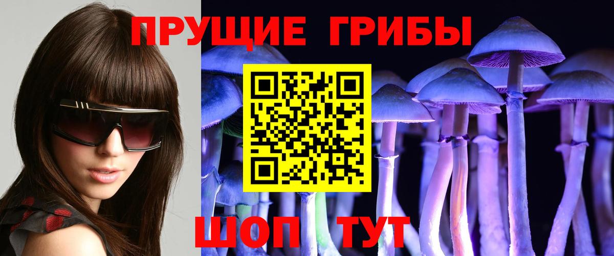 Сертолово  Псилоцибиновые грибы мухоморы  Вход с VPN 