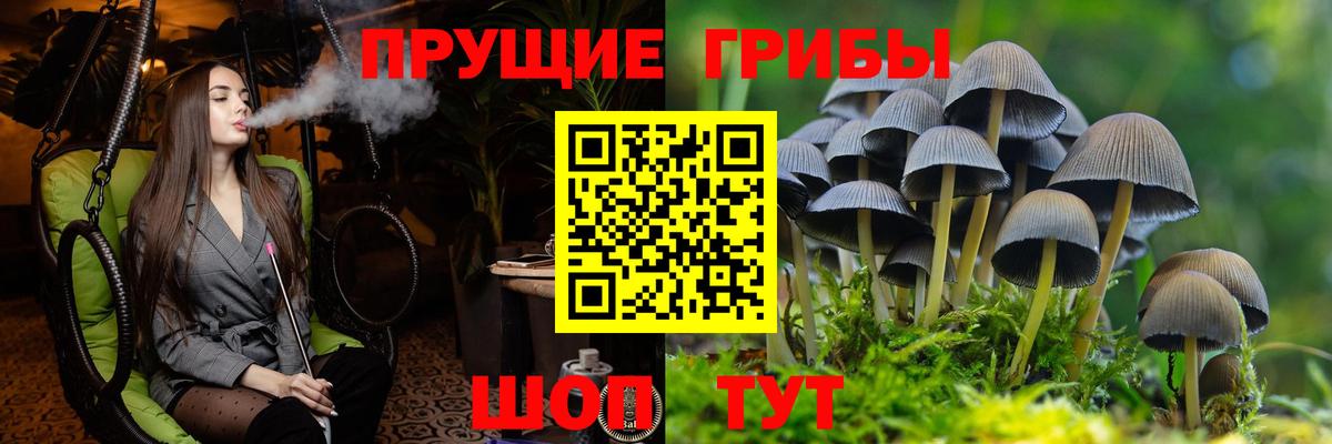 Галлюциногенные грибы MAGIC MUSHROOMS Сертолово