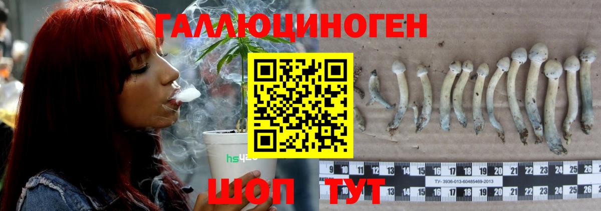 Псилоцибиновые грибы ЛСД  Псилоцибиновые грибы мухоморы  где можно купить   Сертолово 