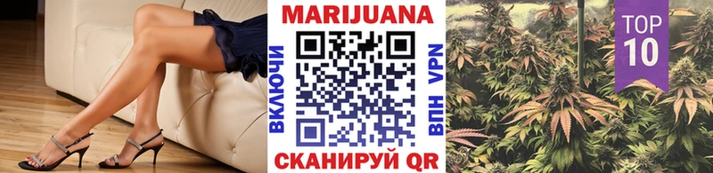 Шишки марихуана сатива  закладка  Сертолово 